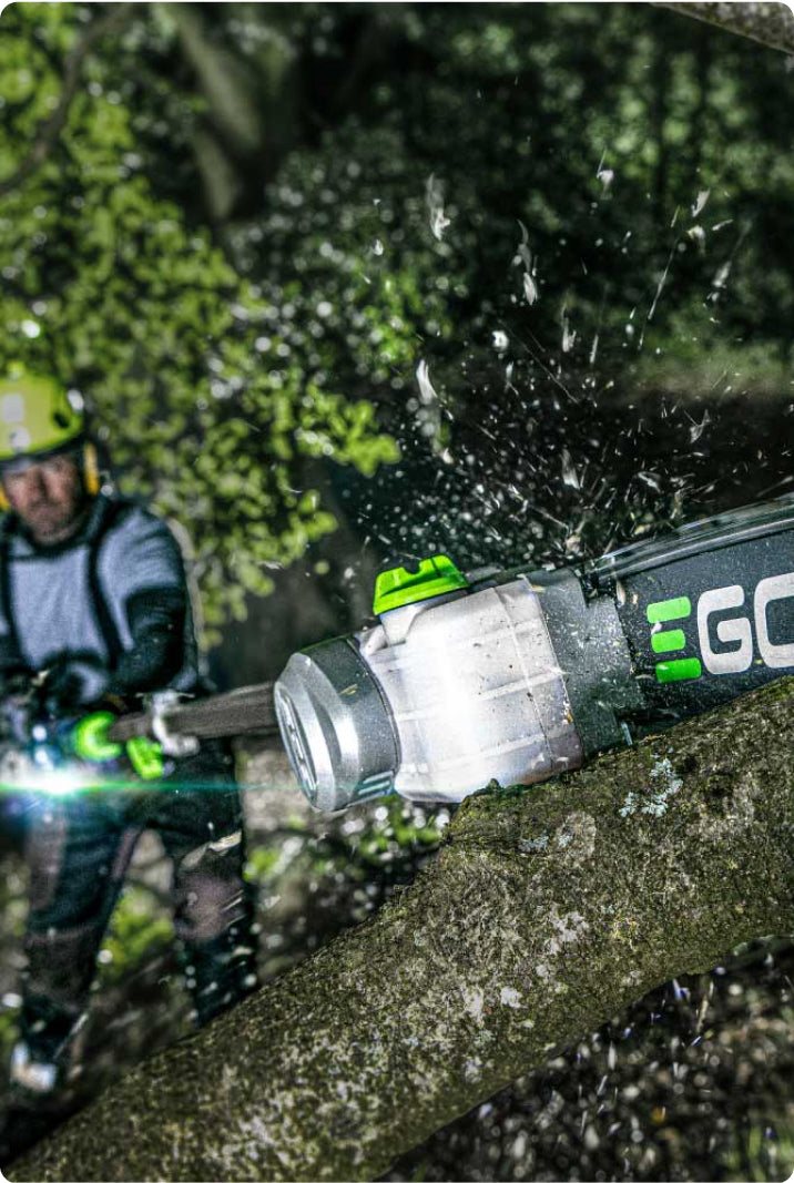 EGO JP